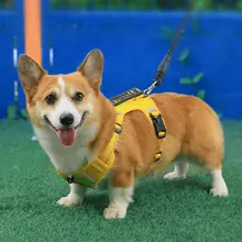 ペット用 胸部ハーネス付きリード【中型犬・防爆設計・お散歩用】