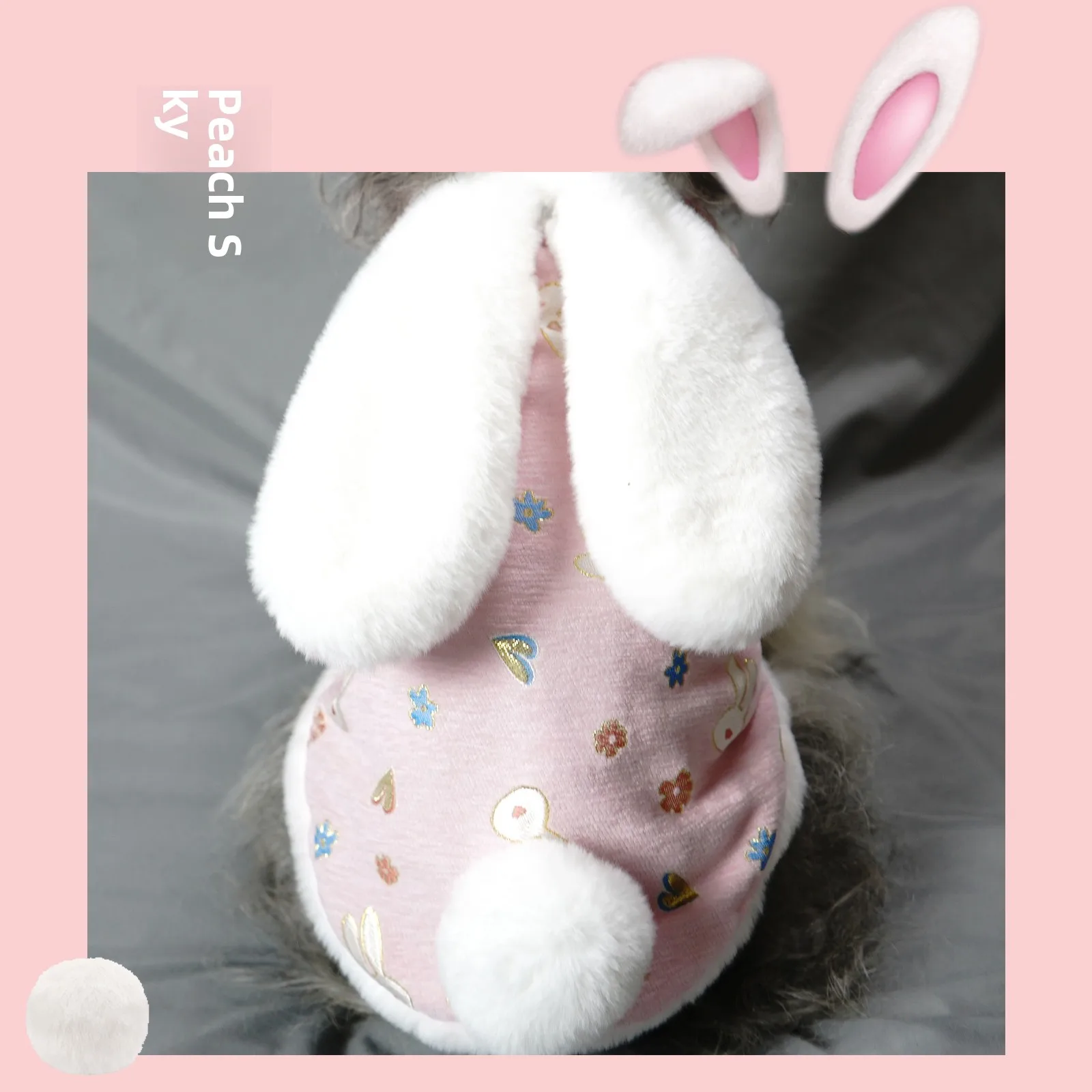 冬用保温ペットウェア【唐装スタイル・犬・猫用】：ペットにあったかさを届ける漢服風デザインの実用性解析
