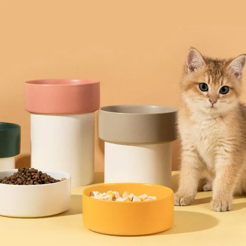 猫飼いが買ってよかったもの・悪かったもの正直に言う｜食器の安心感を実感する完全ガイ ド