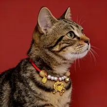 手作りの猫用国風スタイルネックレス【赤い紐・長命鎖・ペット用】