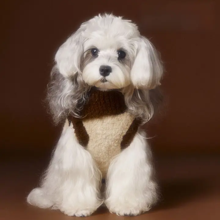 秋冬用 ペット用毛糸のベスト【シニア犬や小型犬向け・暖かさを保つ】（セットアップ対応）