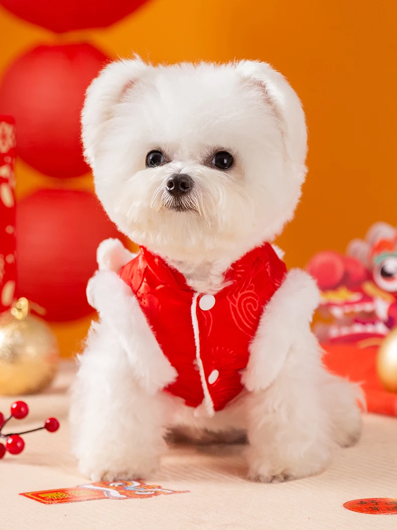 チワワ用犬服 ハイパフォーマンス冬用衣装：虎頭デザインと保暖性の実証
