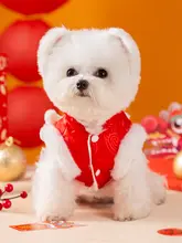 ペット用 犬服 タイスタイルの冬用衣装【虎頭デザイン・小型犬用・可愛い・二足タイプ】
