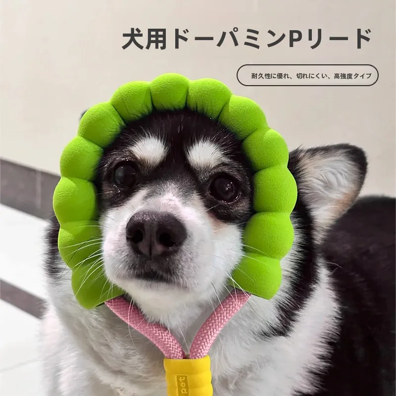 中大型犬用防爆ペットリード：引っ張り防止と快適さを実現するグラデーションデザイン