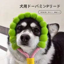 中大型犬用の防爆設計ペットリード【引っ張り防止・外出用・快適さ重視】