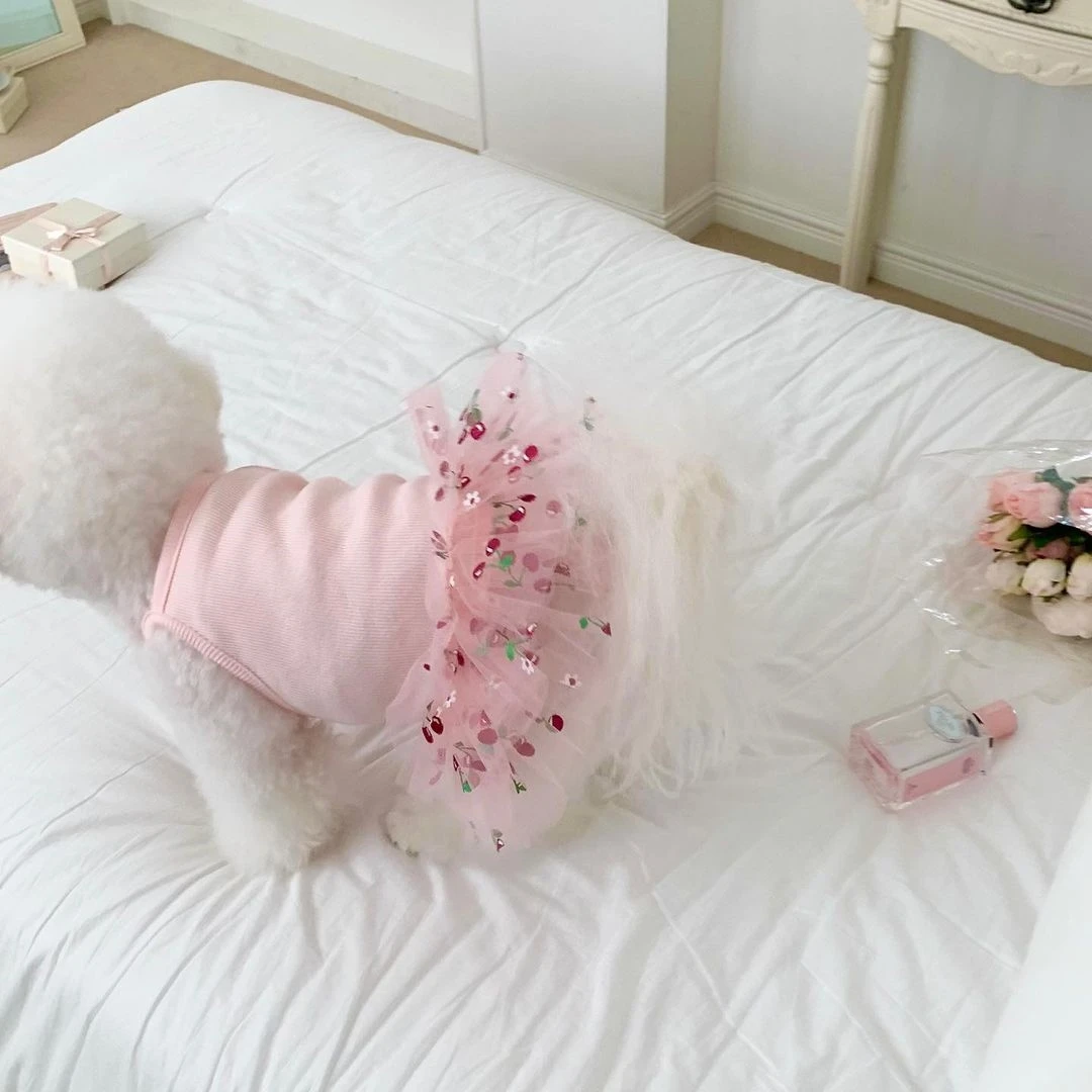 犬用チェリー柄ワンピース：春夏向けポンポンスカートの実用性とサイズガイド