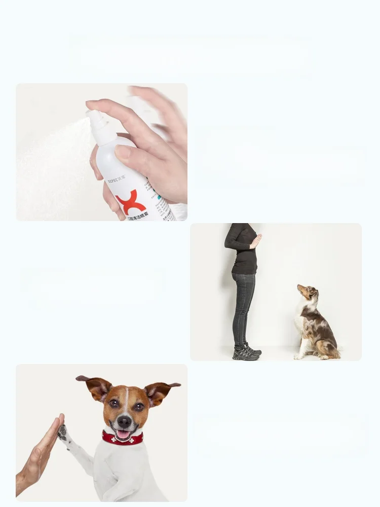 犬のマーキング防止スプレー 強力版：笑宠の禁止ゾーンスプレーが実際の使用でどう効果を発揮するか