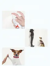 ペット用禁区スプレー【犬の排泄防止・室内外用・猫にも対応】