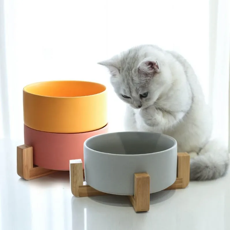 猫飼いが買ってよかったもの・悪かったもの正直に言う：猫用陶器製フードボウルの特徴