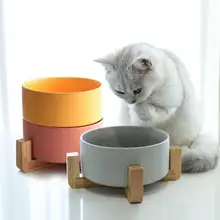 猫用陶器製フードボウル【大口径・加菲猫デザイン・犬猫兼用】