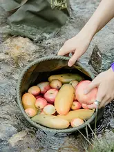 Naturehike 折りたたみ式アウトドアウォーターバケツ【旅行・ピクニック用・洗面器としても使用可】
