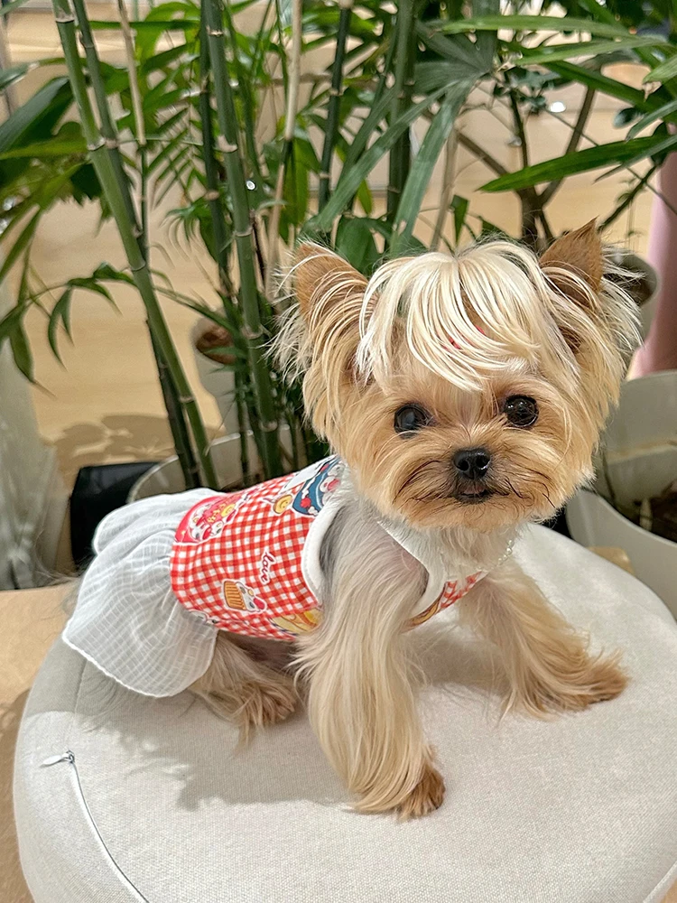 可愛い百褶裙のペットウェア：コットン製の春夏用犬猫兼用パッチワークスカート