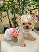 可愛い百褶裙のペットウェア【コットン・春夏用・犬猫兼用】