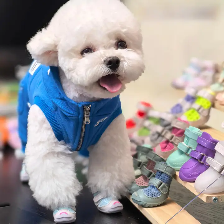 犬用シューズ 小型犬用 ソフトソール 滑り止め 脱げにくい トイプードル ビションフリーゼ「FOKWOW」