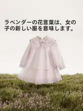 秋用 ベビー用 漢服風 ドレス【女の子用・プリンセスドレス・お祝い用】