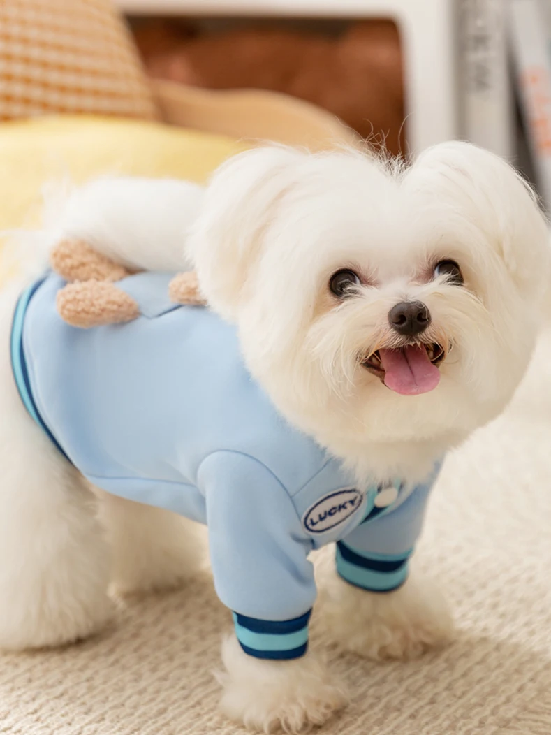 豆柴室内飼育に最適なパーカー：hipidog フード付きパーカーの実用性と使い方