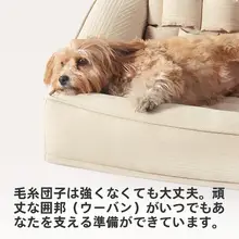 通年使用可能な洗濯可能なペットソファベッド【犬・猫用】