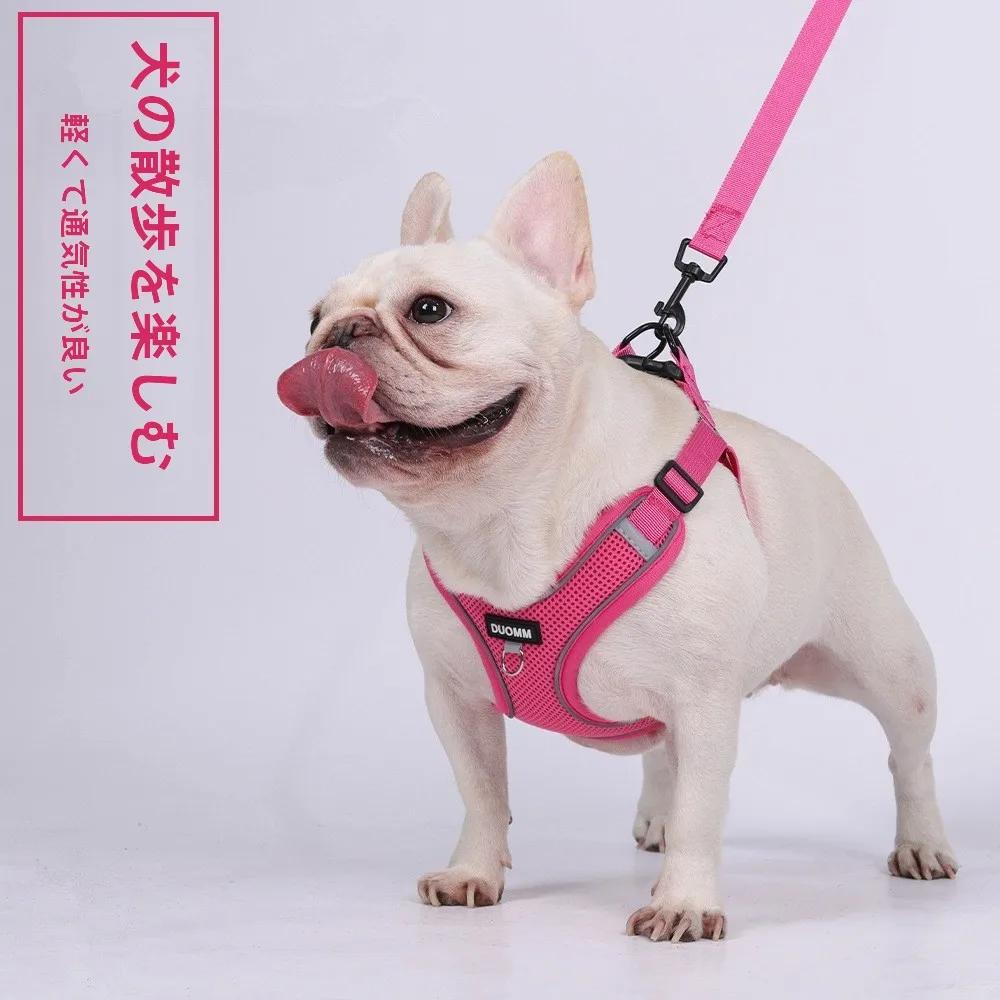 犬のお散歩グッズをコスパ良く揃える方法｜安全で安心な選び方の完全ガイド