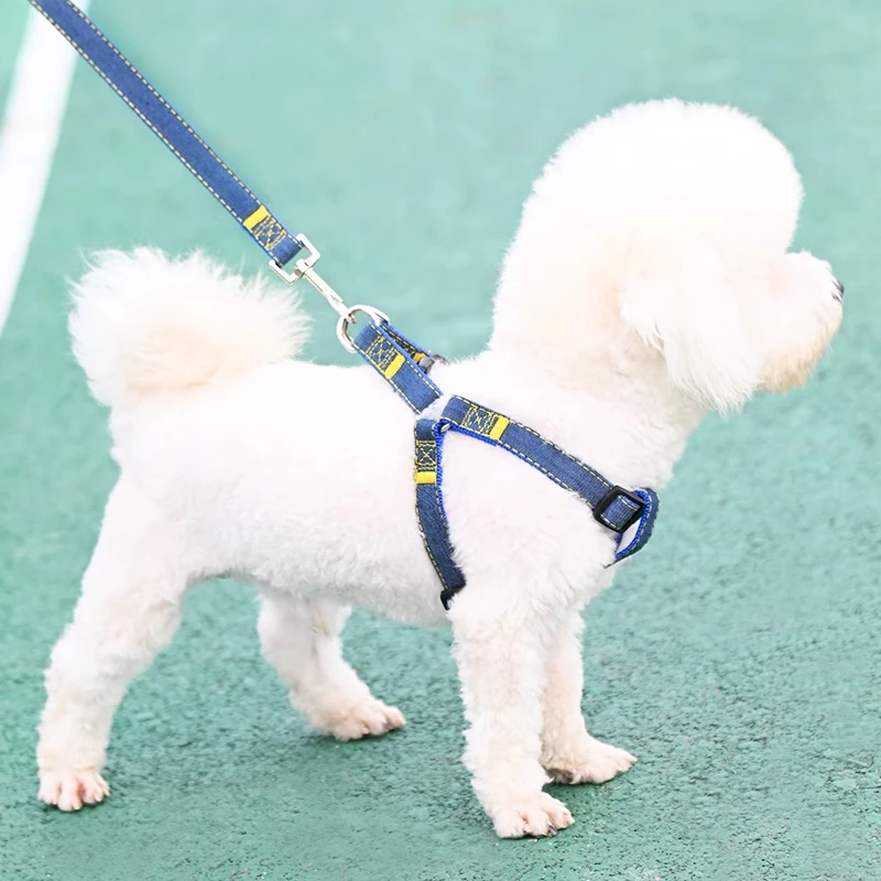 犬用リード【大型・中型・小型犬対応】の選び方と実用性を徹底解説