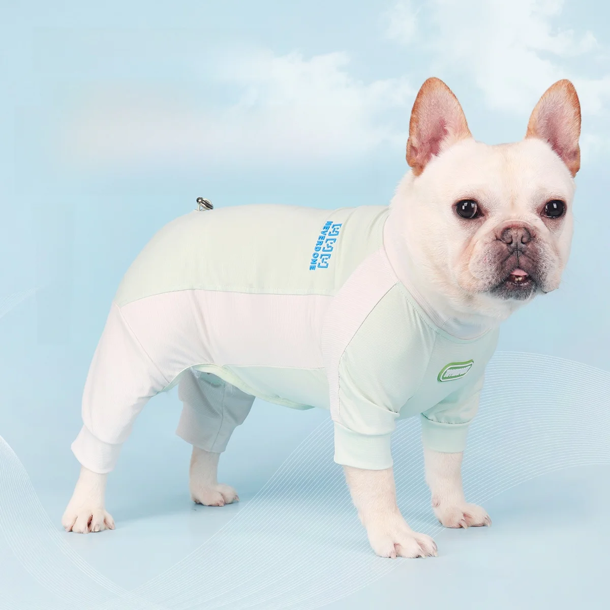 犬の虫除けにオーガニックが安全なのか？厳選4選で自然由来の安心を実現する方法