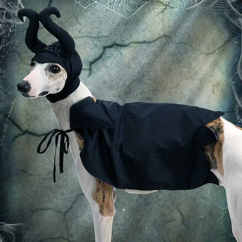犬用ハロウィンケープフード付き猫デザイン　パーティー・撮影用の選び方