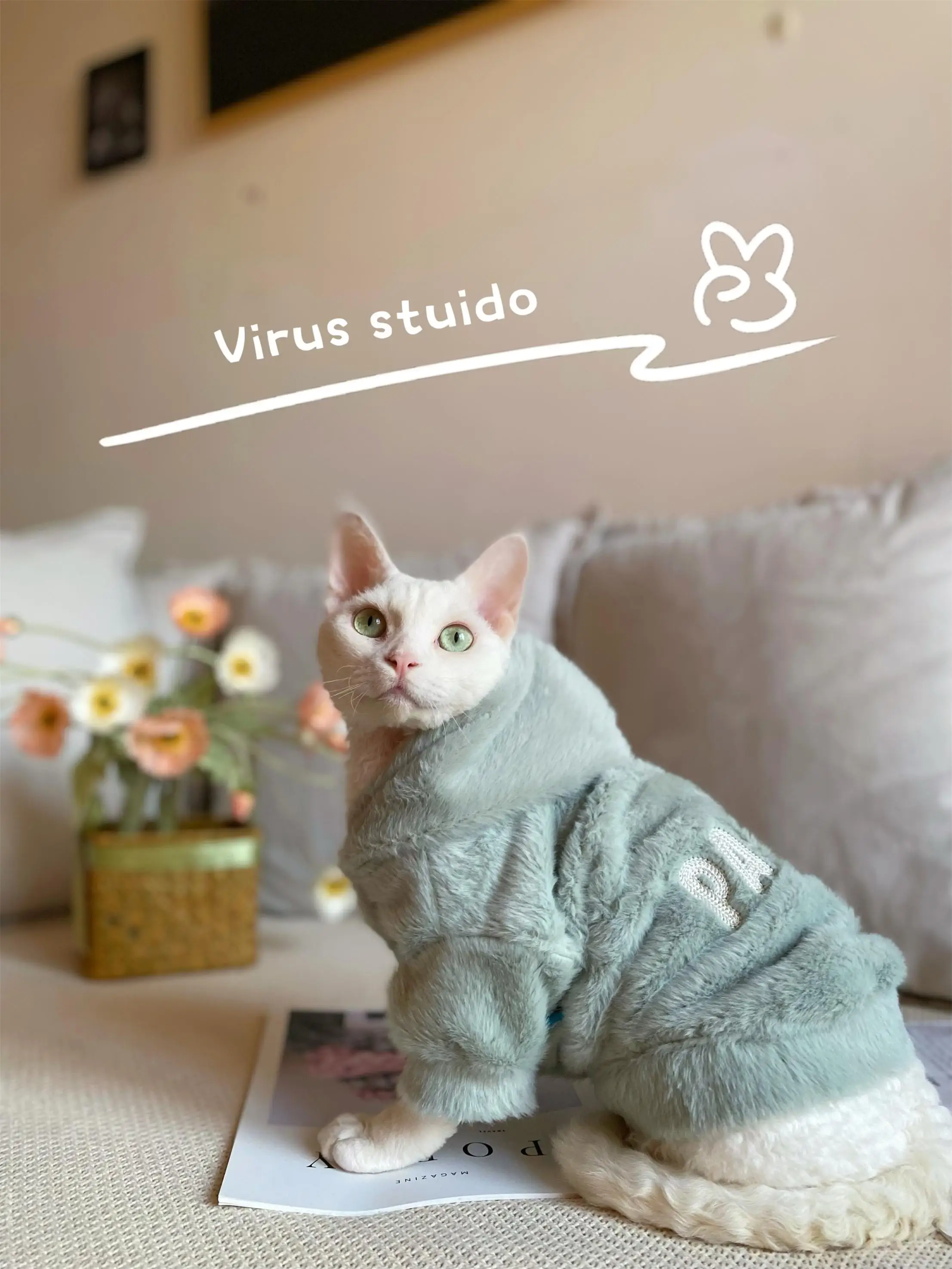 室内ペットの冬をどう過ごす？スフィンクス猫や小型犬にぴったりの秋冬用スウェットシャツがおすすめ