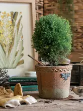 レトロなアメリカンスタイルの赤い陶器製花盆【多肉植物用・庭やガーデンに最適】