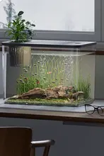 アクアリウム水槽 観賞用 コンパクト ベタ 金魚 水草レイアウト 室内 インテリア 「JOJO'S L. PD.」