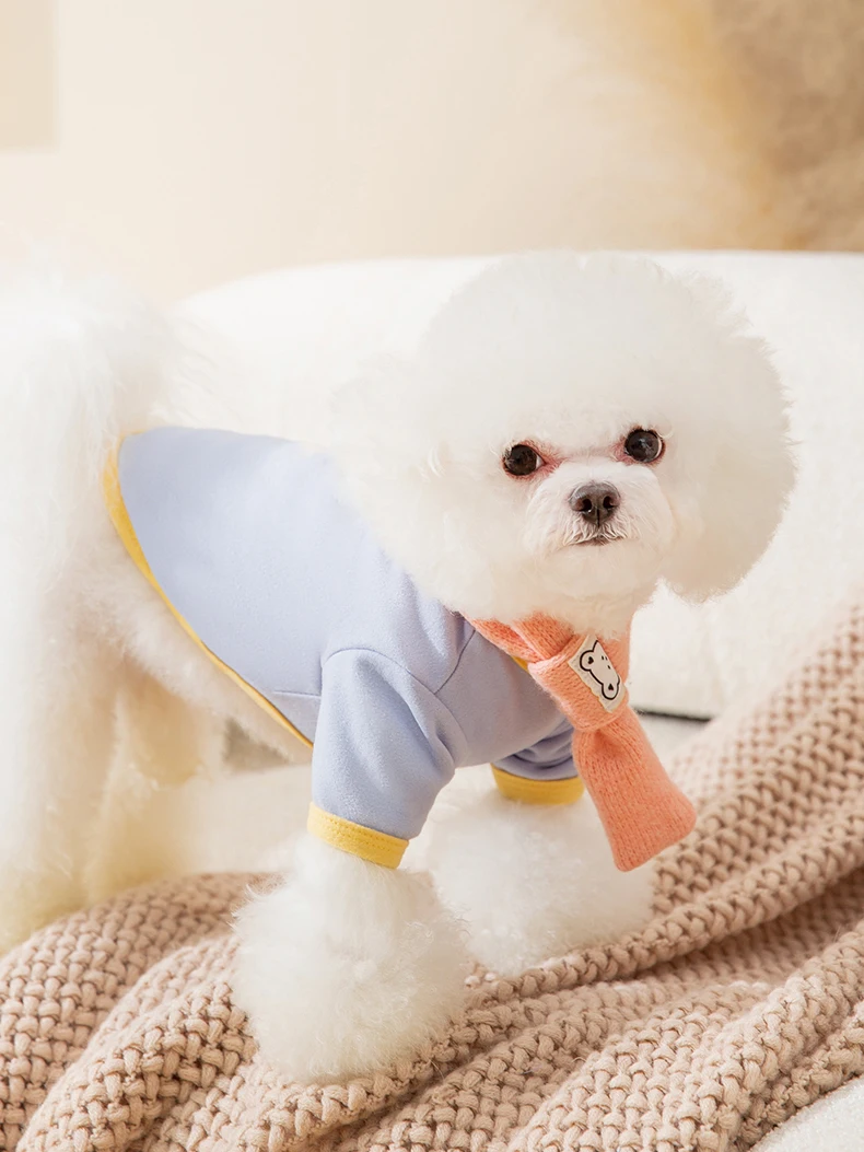 hipidog 小型犬用ウェア：かわいいニットデザインで春秋に最適な通勤・散歩スタイル