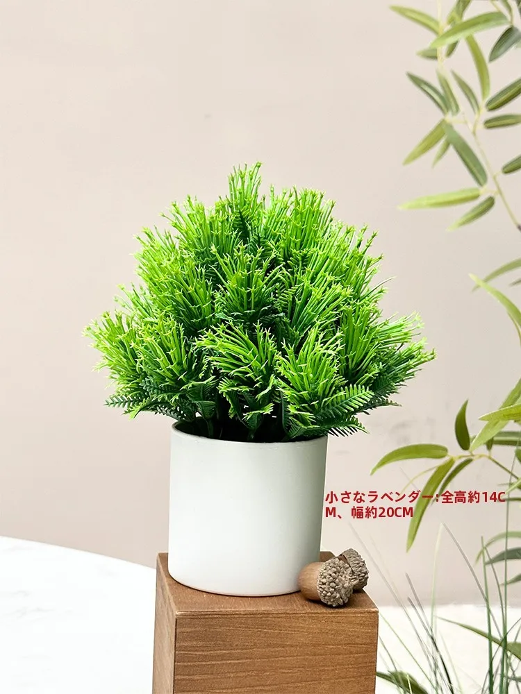 韓国インテリアを再現｜カフェ風部屋の作り方　模擬緑の植物選びの完全ガイド