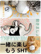 猫と犬用ボールおもちゃ【ミント香・ネコじゃらし・クッション型・歯磨き用】