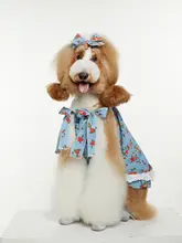 ペット用 ドッグ&キャットドレス【テディベア風・首掛けタイプ・プリンセスディザイン】