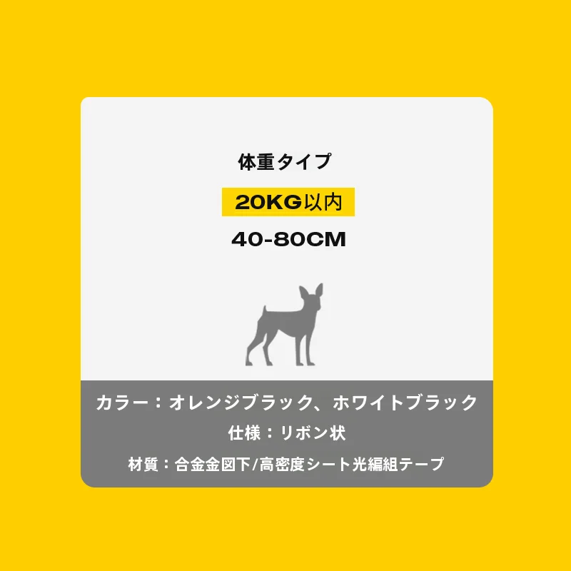 犬のお散歩グッズをコスパ良く揃える方法｜2頭引き対応リードの実測ガイド