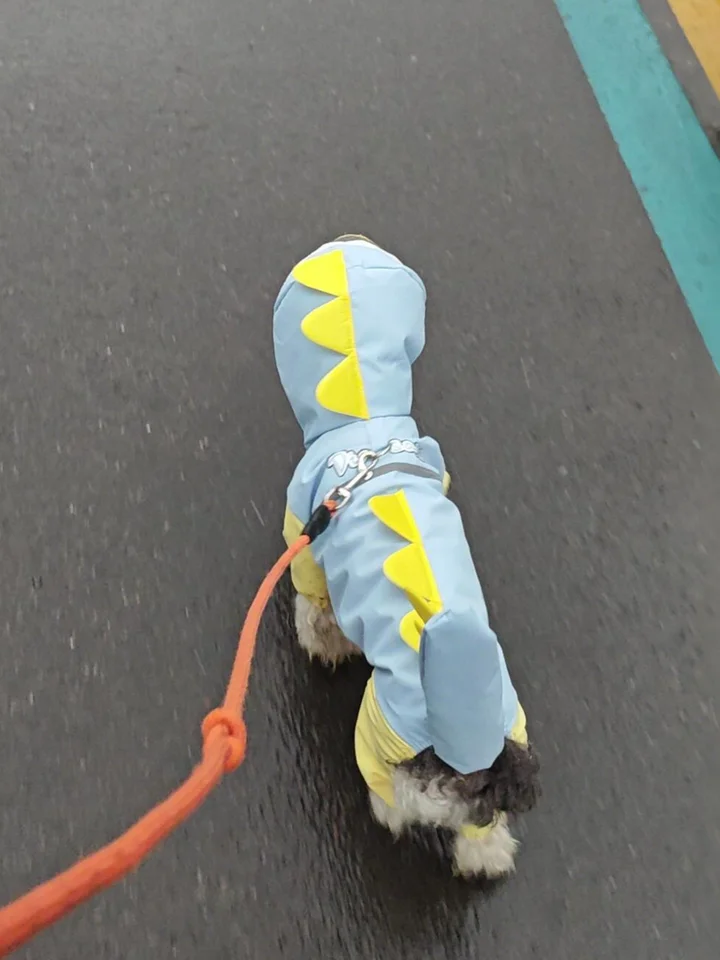 犬用レインコート【全身防水・恐竜デザイン・汚れ防止】