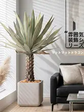 リアルな大型アロエサボテン【ディスプレイ用・商業空間向け・高級感ある観葉植物】