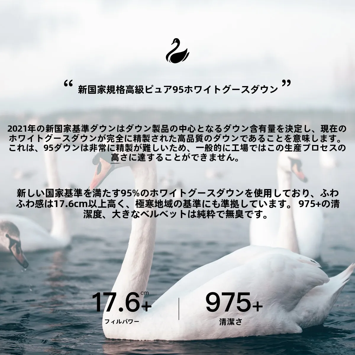 チェスターコートとステンカラーコート、どちらが今、本当に着てみたいのか？