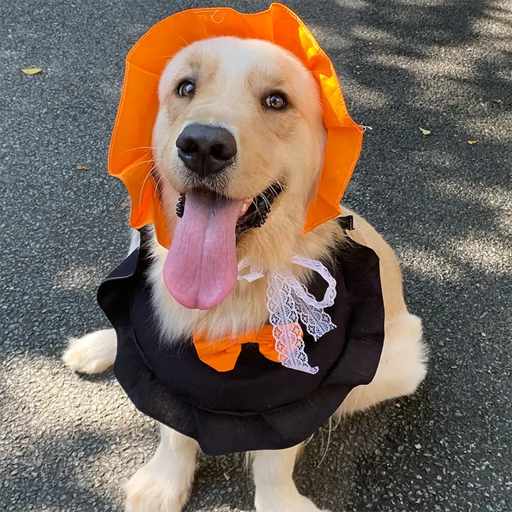 ハロウィンギフト 犬用バンダナ【丸型・中型・大型犬対応・おしゃれなデザイン】