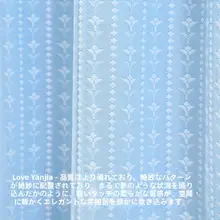 穴あけ不要の防蚊カーテン【レース・掛け式・ダブルレイヤー・寝室用】