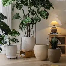 大口径の亀背竹用プランター【ミニマルデザイン・陶器風・リビング用】（セットアップ対応）