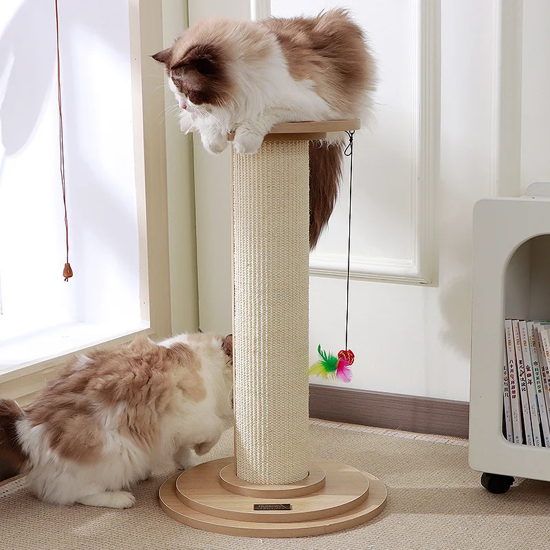 梅雨に備えて買うべき！完全ガイド：陶器スープボウルと天然木キャットタワーの選び方