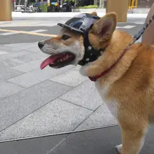 ペット用 ヘルメット【犬・猫用・快適・小型・中型・大型対応】