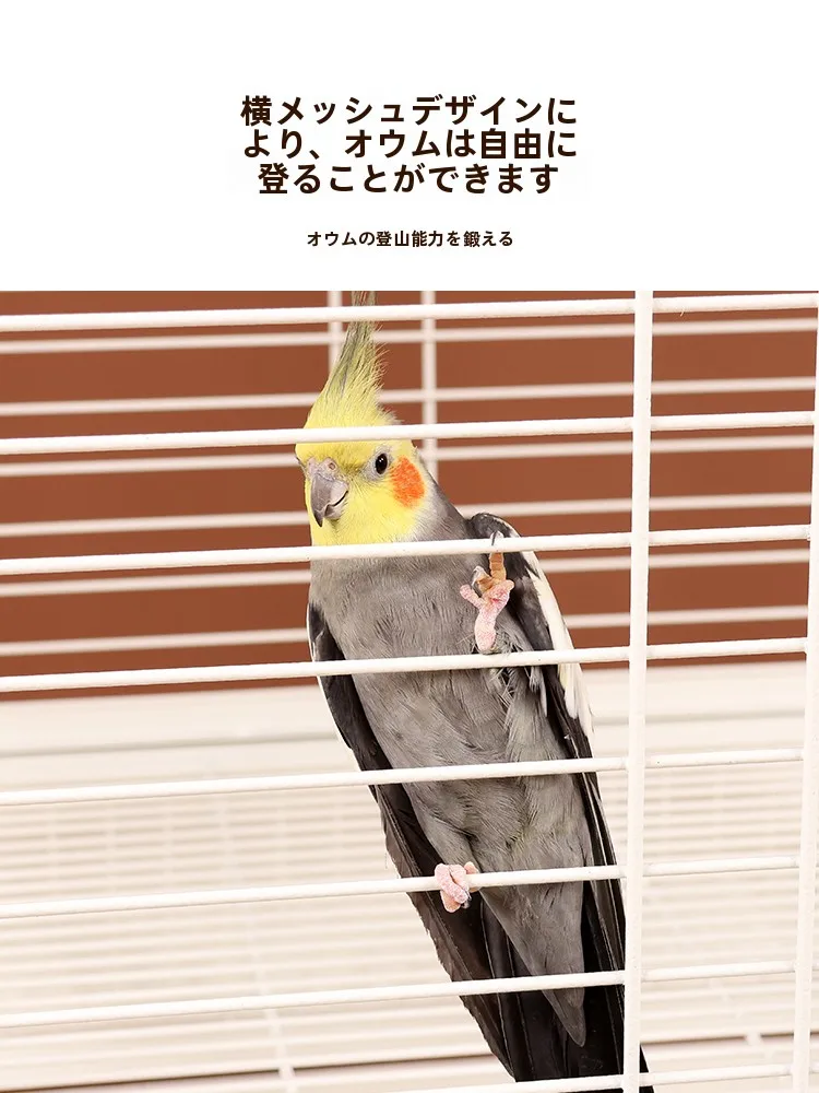 大型金属製オウムケージを選ぶべき理由は？その魅力が暮らしにどう響くか