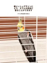 大型金属製オウムケージ【広々としたデザイン・繁殖用・グレーオウム対応】