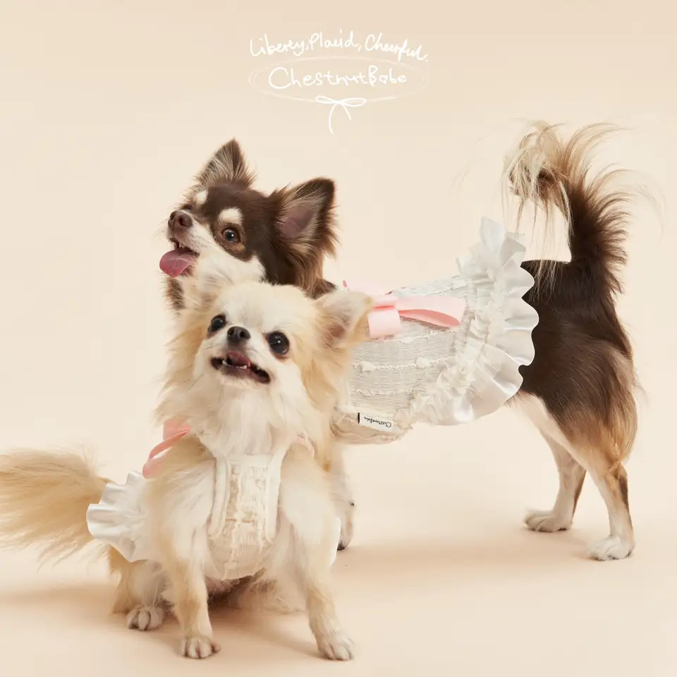 リボン付き犬用キャミソールドレス【かわいいデザイン・ペット用】