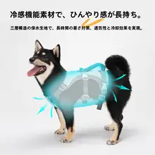 英国製 涼感胸背ハーネス【夏用・通気性・犬用リード】