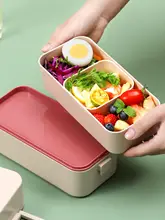 食品級プラスチック製二段式ランチボックス【分仕切り・密閉・電子レンジ対応・持ち運び便利】