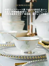 高温対応 家庭用陶器ボウルセット【景徳鎮製・洗練されたデザイン】（セットアップ対応）
