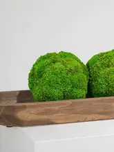 木製トレイ 舟型 観葉植物 ディスプレイ 侘び寂び ホテル 別荘 ロングテーブル センターピース インテリア雑貨