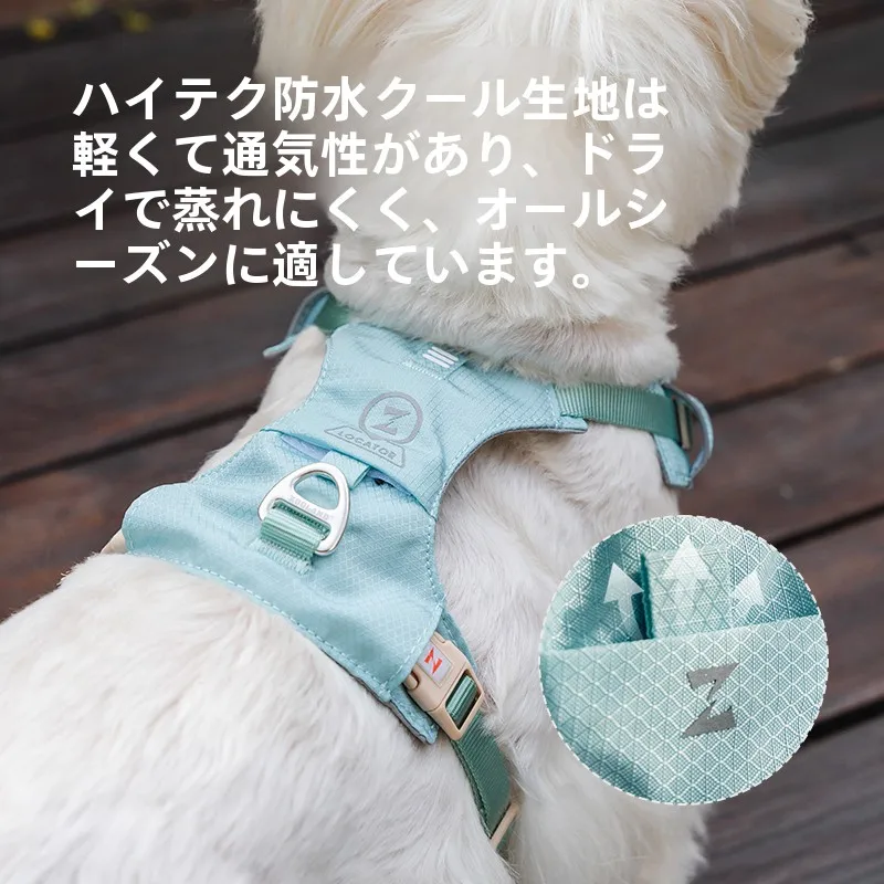 犬のお散歩グッズをコスパ良く揃える方法｜調整可能なハーネスの実測ガイド