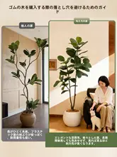 フェイクグリーン 大型鉢植え インテリア 装飾 フェイクツリー フィドルリーフ